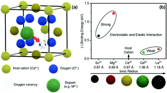 Graphical abstract: Electromechanical dopant–defect interaction in acceptor-doped ceria