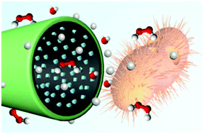 Graphical abstract: Cubic nano-silver-decorated manganese dioxide micromotors: enhanced propulsion and antibacterial performance