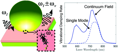 Graphical abstract: Addressing molecular optomechanical effects in nanocavity-enhanced Raman scattering beyond the single plasmonic mode