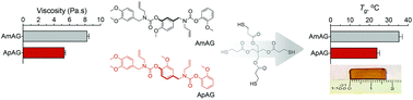 Graphical abstract: Effect of backbone and end-group regioisomerism on thermomechanical properties of vanillin-based polyurethane networks