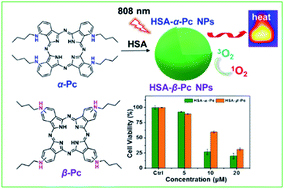 Graphical abstract: Near-infrared and metal-free tetra(butylamino)phthalocyanine nanoparticles for dual modal cancer phototherapy