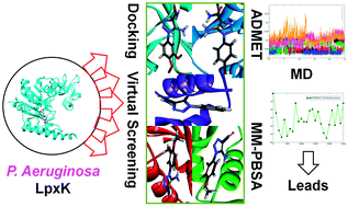 Graphical abstract: Pharmacoinformatics approaches to identify potential hits against tetraacyldisaccharide 4′-kinase (LpxK) of Pseudomonas aeruginosa