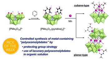 Graphical abstract: A protecting group strategy to access stable lacunary polyoxomolybdates for introducing multinuclear metal clusters