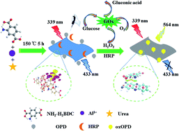 Graphical abstract: Detection of hydrogen peroxide and glucose with a novel fluorescent probe by the enzymatic reaction of amino functionalized MOF nanosheets