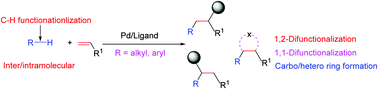 Graphical abstract: Pd-Catalyzed and ligand-enabled alkene difunctionalization via unactivated C–H bond functionalization