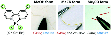 Graphical abstract: Elastic deformability and luminescence of crystals of polyhalogenated platinum(ii)–bipyridine complexes