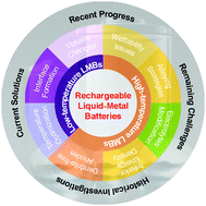 Graphical abstract: Liquid metal batteries for future energy storage
