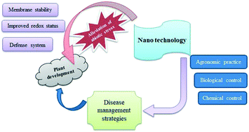 Graphical abstract: The potential of nanomaterials for sustainable modern agriculture: present findings and future perspectives