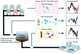 Graphical abstract: SARS-CoV-2 RNA is enriched by orders of magnitude in primary settled solids relative to liquid wastewater at publicly owned treatment works