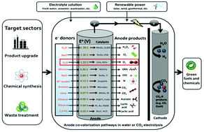 Graphical abstract: Anode co-valorization for scalable and sustainable electrolysis