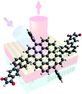 Graphical abstract: Excited states engineering enables efficient near-infrared lasing in nanographenes