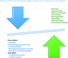 Graphical abstract: Revisiting the outstanding questions in cancer nanomedicine with a future outlook