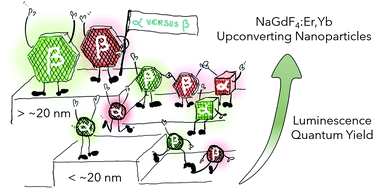 Graphical abstract: Cubic versus hexagonal – phase, size and morphology effects on the photoluminescence quantum yield of NaGdF4:Er3+/Yb3+ upconverting nanoparticles