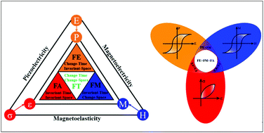 Graphical abstract: Two-dimensional multiferroics