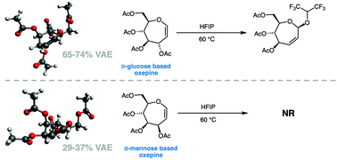 Graphical abstract: Characterization of the low energy conformations and differential reactivities of d-glucose and d-mannose based oxepines