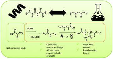 Graphical abstract: Amino acid acrylamide mimics: creation of a consistent monomer library and characterization of their polymerization behaviour