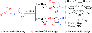 Graphical abstract: Ligand-controlled regioselective and chemodivergent defluorinative functionalization of gem-difluorocyclopropanes with simple ketones