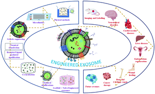 Graphical abstract: Current strategies in tailoring methods for engineered exosomes and future avenues in biomedical applications