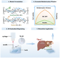 Graphical abstract: Photoclick polysaccharide-based bioinks with an extended biofabrication window for 3D embedded bioprinting