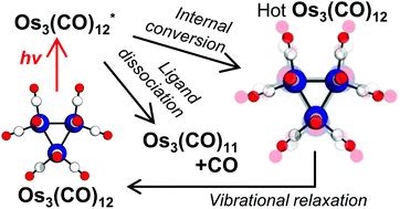 Graphical abstract: Photoactivation of triosmium dodecacarbonyl at 400 nm probed with time-resolved X-ray liquidography