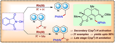 Graphical abstract: Regioselective C(sp3)–H amidation of 8-methylquinolines with N-hydroxyphthalimides