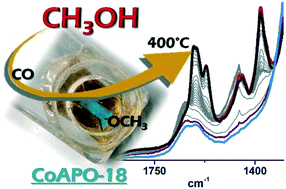 Graphical abstract: Catalyst sites and active species in the early stages of MTO conversion over cobalt AlPO-18 followed by IR spectroscopy