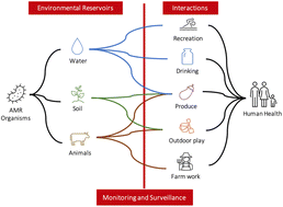 Graphical abstract: Validation of a modified IDEXX defined-substrate assay for detection of antimicrobial resistant E. coli in environmental reservoirs