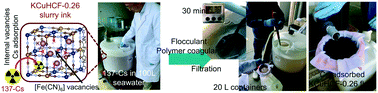 Graphical abstract: The development of a rapid monitoring method for radiocesium in seawater in the Fukushima region