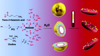 Graphical abstract: Improved nanoformulation and bio-functionalization of linear-dendritic block copolymers with biocompatible ionic liquids