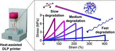 Graphical abstract: 3D printed elastomers with Sylgard-184-like mechanical properties and tuneable degradability