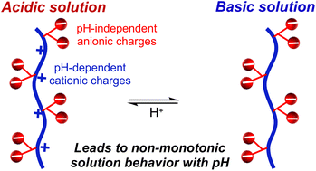 Graphical abstract: Net anionic poly(β-amino ester)s: synthesis, pH-dependent behavior, and complexation with cationic cargo