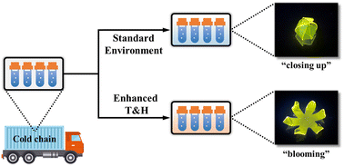 Graphical abstract: Process intensified synthesis of luminescent poly(9,9-dioctylfluorene-alt-benzothiadiazole) and polyvinyl alcohol based shape memory polymeric nanocomposite sensors toward cold chain logistics information monitoring