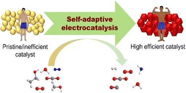 Graphical abstract: Recent advances in surface reconstruction toward self-adaptive electrocatalysis: a review