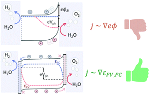 Graphical abstract: The role of selective contacts and built-in field for charge separation and transport in photoelectrochemical devices