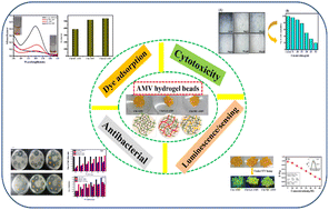 Graphical abstract: Luminescent and self-healing hybrid ionotropic hydrogel beads of ammonium metavanadate and chitosan: promising biomaterial as an antimicrobial agent, efficient dye adsorbent and ascorbic acid sensor