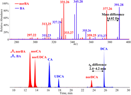 Graphical abstract: Structural identification of in vitro metabolites for 23-nordeoxycholic acid by structural analogue matching