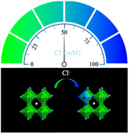 Graphical abstract: Rapid detection of urine chloride enabled by ion exchange in hydrophilic lead halide perovskite nanocrystals