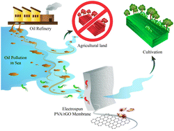 Graphical abstract: rGO induced enhanced antifouling properties in electrospun PVA–rGO nanocomposite membranes