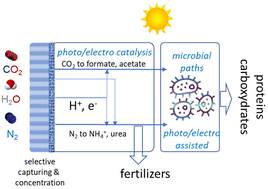 Graphical abstract: Making chemicals from the air: the new frontier for hybrid electrosyntheses in artificial tree-like devices