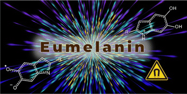 Graphical abstract: Decoding eumelanin's spin label signature: a comprehensive EPR analysis