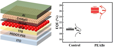 Graphical abstract: Phenethylammonium bromide interlayer for high-performance red quantum-dot light emitting diodes