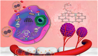 Graphical abstract: Amplification of oxidative stress by lipid surface-coated single-atom Au nanozymes for oral cancer photodynamic therapy