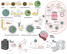 Graphical abstract: Enhanced theranostic efficacy of epirubicin-loaded SPION@MSN through co-delivery of an anti-miR-21-expressing plasmid and ZIF-8 hybridization to target colon adenocarcinoma