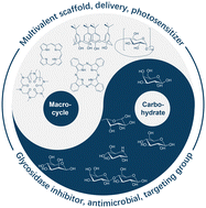 Graphical abstract: Carbohydrate–macrocycle conjugates for biomedical applications