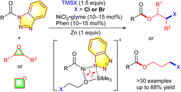 Graphical abstract: Nickel-catalyzed cross-coupling of N-acyl benzotriazoles with oxiranes and oxetanes for the synthesis of β-haloethyl and γ-halopropyl esters