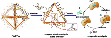 Graphical abstract: Broadening the catalytic region from the cavity to windows by M6L12 nanospheres in cyclizations