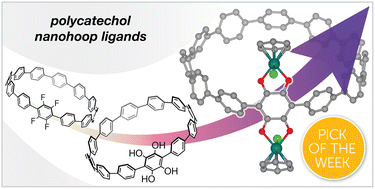 Graphical abstract: Synthesis and metalation of polycatechol nanohoops derived from fluorocycloparaphenylenes