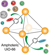 Graphical abstract: Amphoteric metal–organic framework subnanochannels with pH-tuneable cation and anion sieving properties