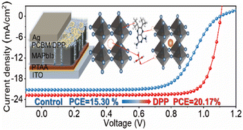 Graphical abstract: Simultaneous realization of bulk and interface regulation based on 2,4-diamino-6,7-diisopropylpteridine phosphate for efficient and stable inverted perovskite solar cells