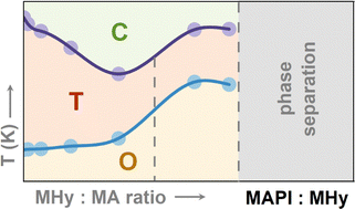 Graphical abstract: The lattice symmetrization worked, but with a plot twist: effects of methylhydrazinium doping of MAPbI3 on phase transitions, cation dynamics and photoluminescence